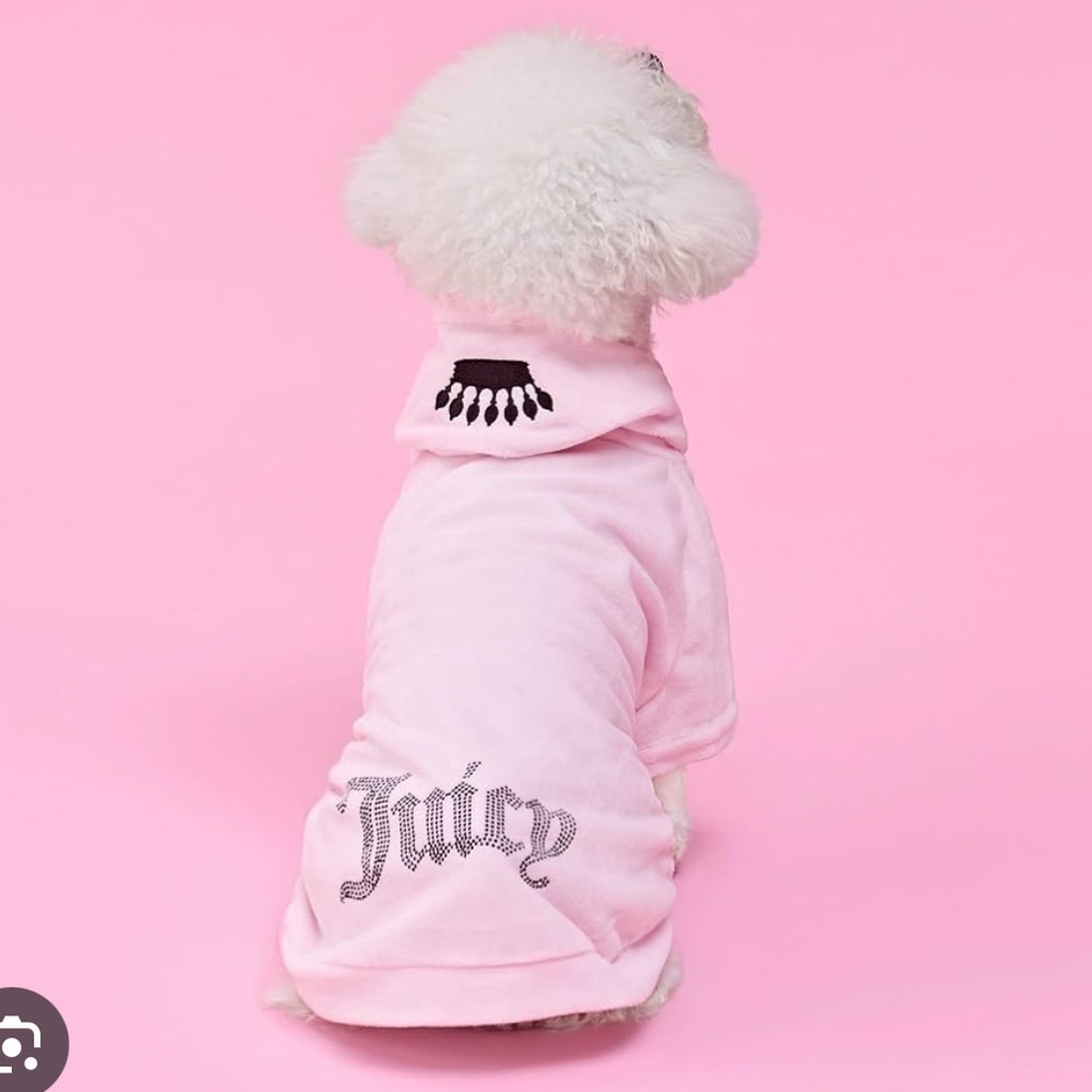 Juicy Couture Pink Dog Hoodie - see size description. BLUSH